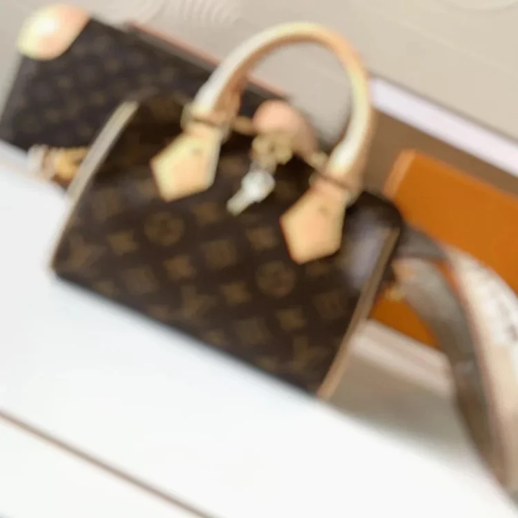 LV Handbag 7464799996