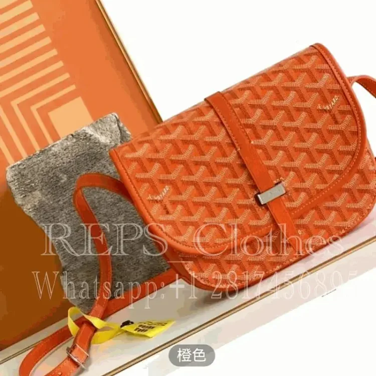GOYARD bag 7487419982